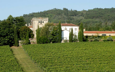 En plena región del Vinho Verde