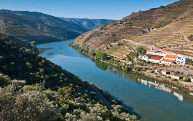 Viñedos junto al río Duero