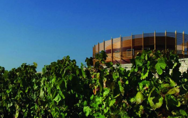 La bodega se encuentra rodeada de viñas.