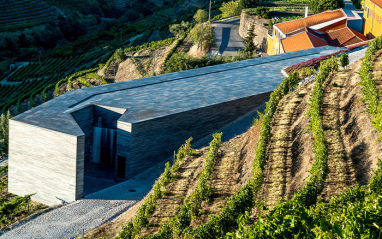 Vista de la bodega y los viñedos circundantes