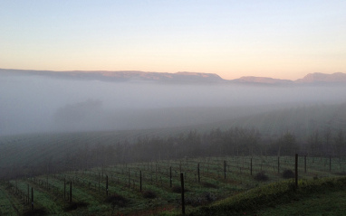 Neblinas en Elgin Valley