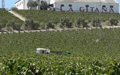 Exterior bodega Hidalgo La Gitana