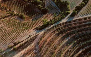 Vista cenital de los bancales