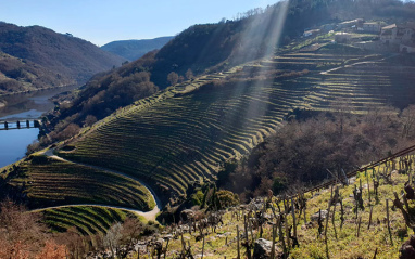 Paisaje de Ribeira Sacra