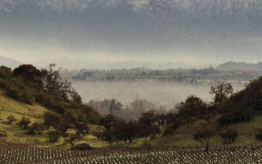 Entorno natural Santa Rita