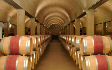 Sala de crianza