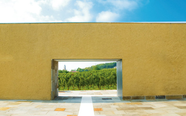 La bodega