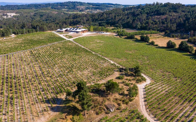 Se han encontrado ruinas romanas en estas tierras