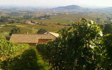 Panorámica en el Beaujolais