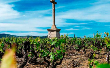 La cruz de Borgoña