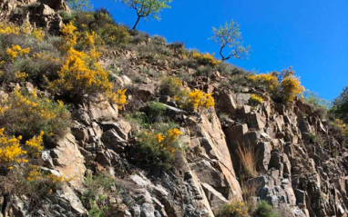 Laderas del Priorat