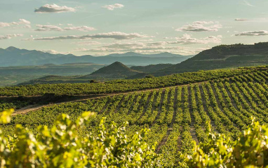 Viñas de Valserrano