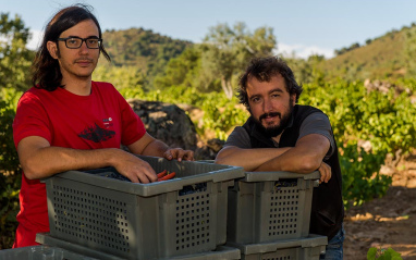 Fernando y Daniel en vendimia