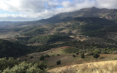 Paisaje Cornudella de Montsant