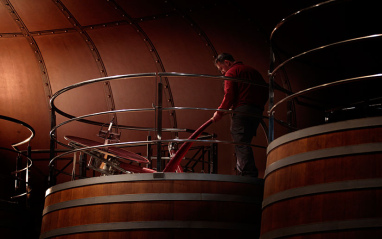 Trabajos en bodega