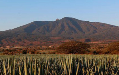 Panorámica del volcán Tequila y los campos de agaveos Andes