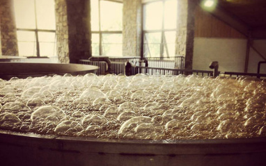 Fermentación