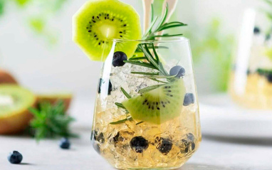 Kiwi, ginger ale y Wint & Lila London Dry Gin