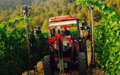 Tractor en viñedo