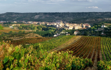 Panorámica de Cenicero