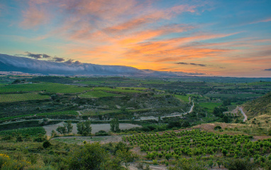 Panorámica de la Rioja Alta