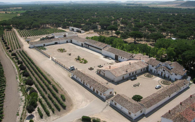 Vista aérea de la bodega