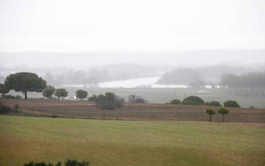 Paisaje de Viñas