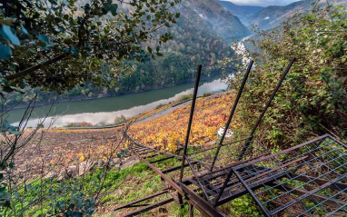 Viñedo y raíles en Ribeira Sacra