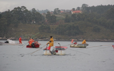 Pesca de la almeja