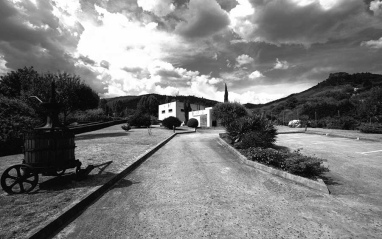 Bodegas Gargalo y entorno