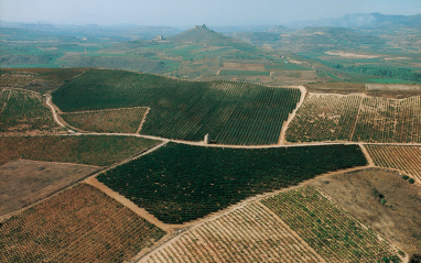 Los viñedos de Sierra Cantabria vistos desde el aire