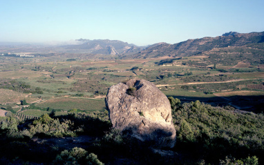 Vista del viñedo de Las Beatas