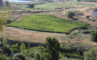 Entorno de Finca la Melonera