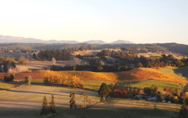 Panorámica del entorno de bodega