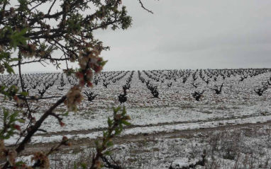 Nieve en abril de 2012