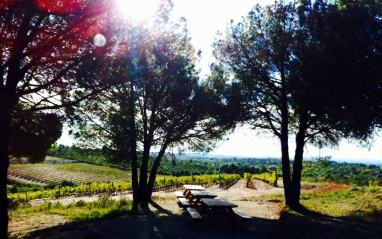 Otoño en la finca Malaveïna 