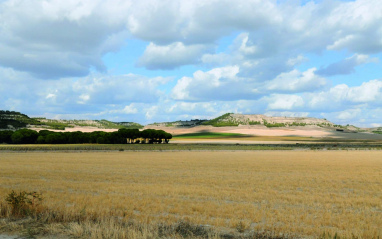 Llanuras en Sardón de Duero (Valladolid)