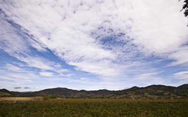 Viñas y cielos de Montsant