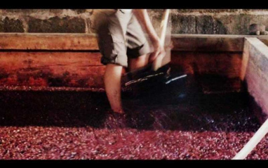Pisado de uvas