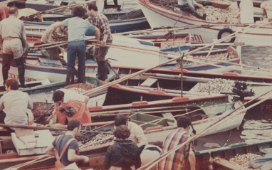 Barcos de faena