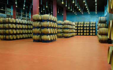 Instalaciones para la vinificación en Toro