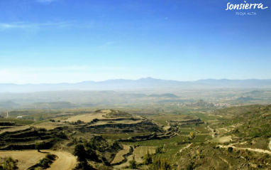 Panorámica de viñedos en Sonsierra