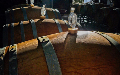 Minuciosamente reflejando el origen