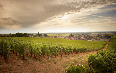 Clos de Tart
