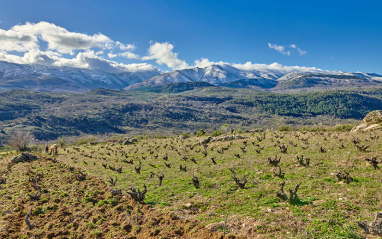 Paraje del viñedo