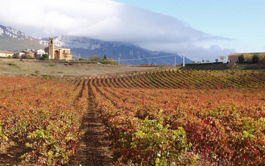 Paisaje con la Sierra Cantabria al fondo
