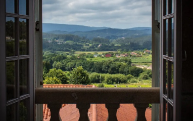 Vistas al paisaje rural de viñedos desde una ventana