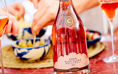 Codorníu Gran Plus Ultra Pinot Noir Brut