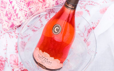 Codorníu Gran Plus Ultra Pinot Noir Brut