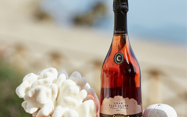 Codorníu Gran Plus Ultra Pinot Noir Brut